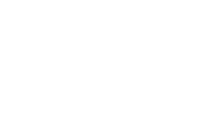 Nexusbees Digital Marketing Agency
